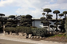 Japan 2010, Sakurajima