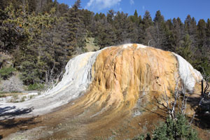 Orange Spring Mound, Hot Spring, Mammoth Hot Springs, Yellowstone