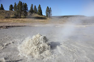 Churning Caldron, Hot Spring, Mud Volcano Area, Yellowstone
