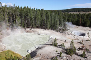 Sulfur Caldron (which one), Acidic Hot Spring, Yellowstone