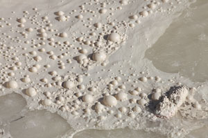 Bubbles on Surface of Sulfur Caldron, Acidic Hot Spring, Yellowstone